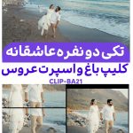 کلیپ آماده عاشقانه باغ عروس | پروژه حرفه‌ای ادیوس کد Ba21