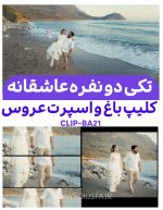 کلیپ آماده عاشقانه باغ عروس | پروژه حرفه‌ای ادیوس کد Ba21