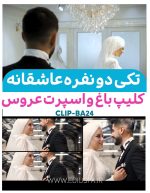 پروژه ادیوس مجید رضوی : کلیپ عاشقانه باغ عروس و داماد | کد Ba24