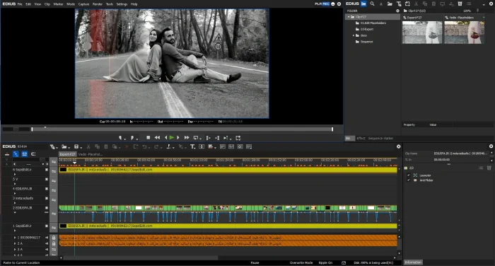 پروژه آماده فرمالیته خارجی لایت ادیوس : کلیپ عروس و داماد عاشقانه خارجی - Image 4