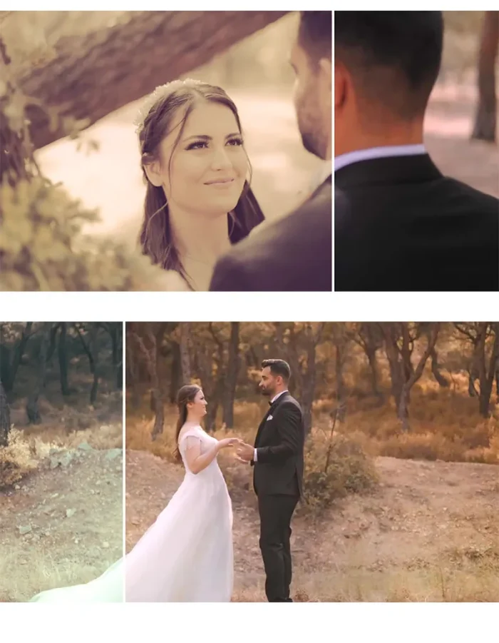 افکت رنگ قهوه ای ویدیو-افکت رنگ لاتس با تنالیه خاص قهوه ای - Image 3