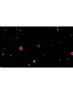 ویدیو فوتیج بارش کلبرگ گل رز - 5 عدد ویدوی آماده گلبرگ گل - Image 5