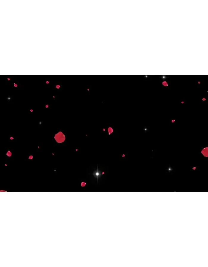 ویدیو فوتیج بارش کلبرگ گل رز - 5 عدد ویدوی آماده گلبرگ گل - Image 5