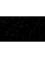 ویدیو فوتیج بارش کلبرگ گل رز - 5 عدد ویدوی آماده گلبرگ گل - Image 3