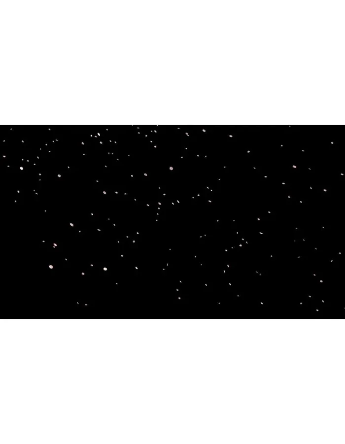 ویدیو فوتیج بارش کلبرگ گل رز - 5 عدد ویدوی آماده گلبرگ گل - Image 3