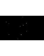 ویدیو فوتیج بارش کلبرگ گل رز - 5 عدد ویدوی آماده گلبرگ گل - Image 2