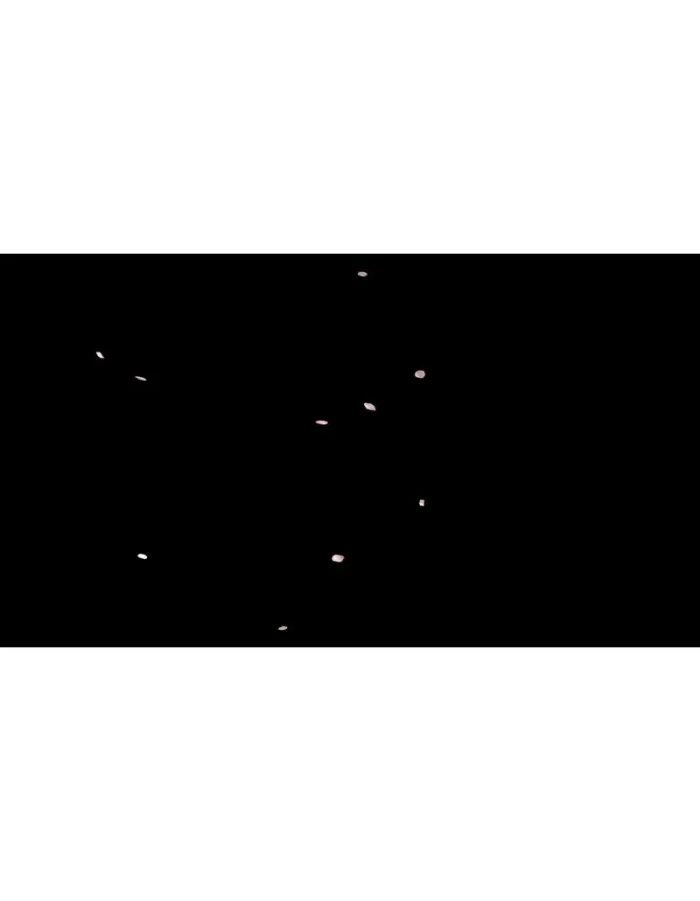 ویدیو فوتیج بارش کلبرگ گل رز - 5 عدد ویدوی آماده گلبرگ گل - Image 2