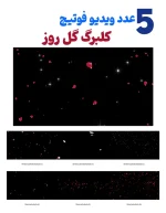 ویدیو فوتیج بارش کلبرگ گل رز