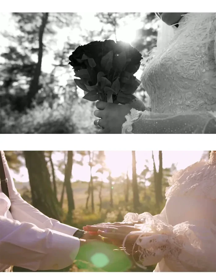 کلیپ باغ عروس عاشقانه احساسی ادیوس - پروژه آماده تو قلب منی - Image 4